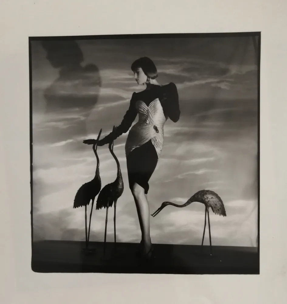 Фотографии Horst  - Femme aux hérons