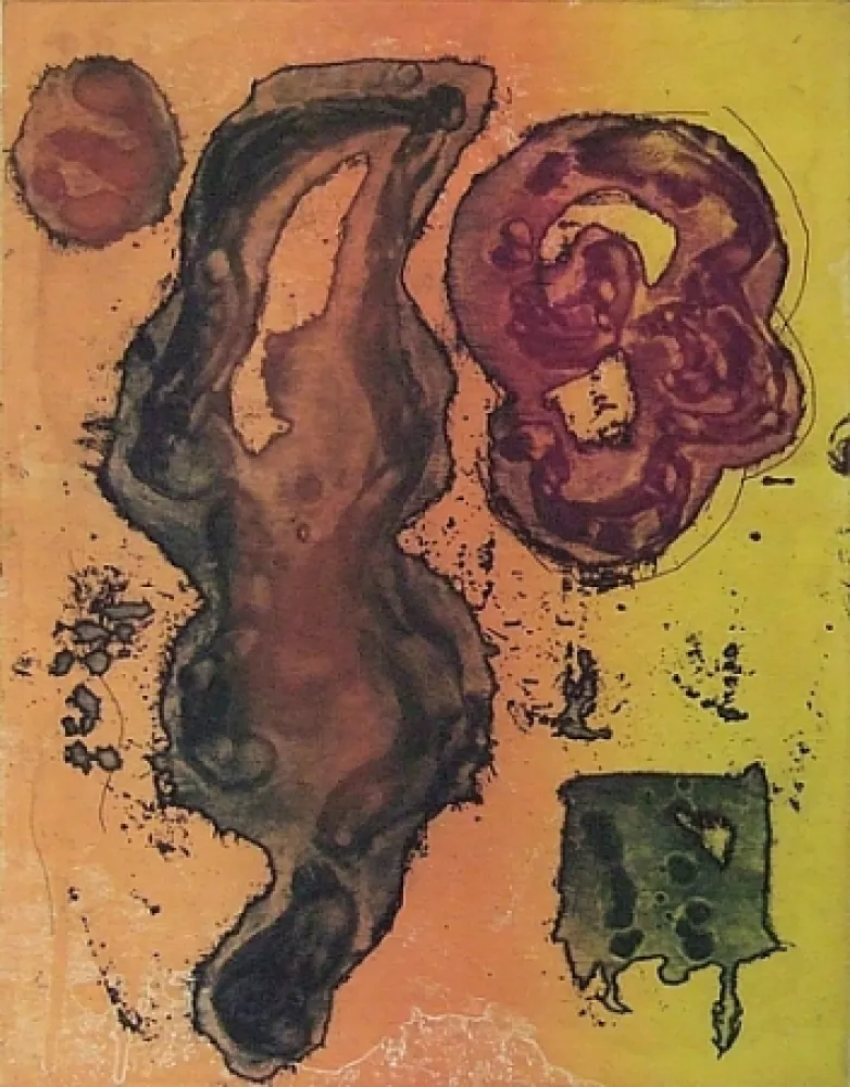 Офорт И Аквитанта Hoyland - Rivers of Surprise