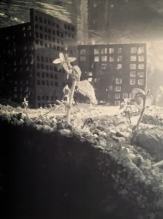 Фотографии Iglesias - Aquarium II, 1