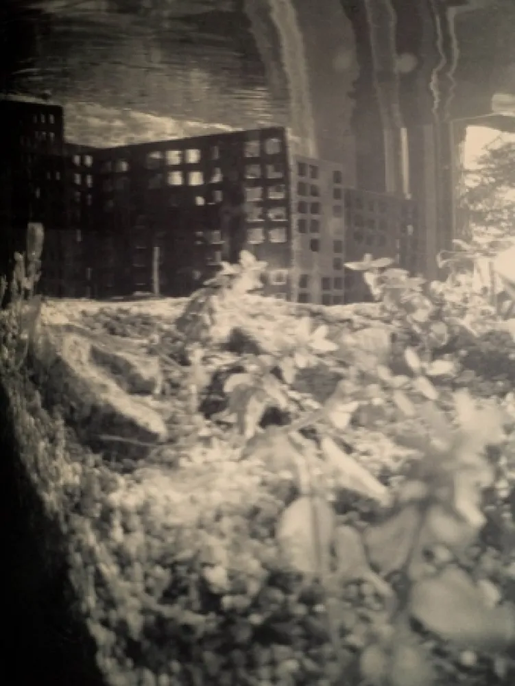 Многоэкземплярное Произведение Iglesias - Aquarium II, 3