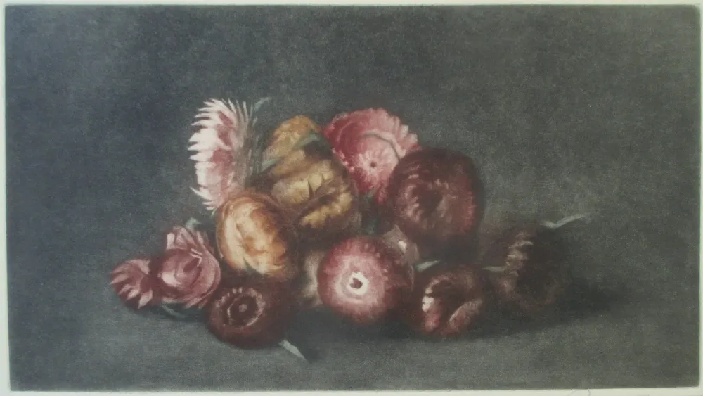 Mezzotint Ilsted - Cudweed