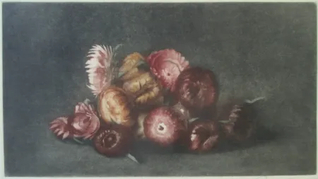 Mezzotint Ilsted - Cudweed