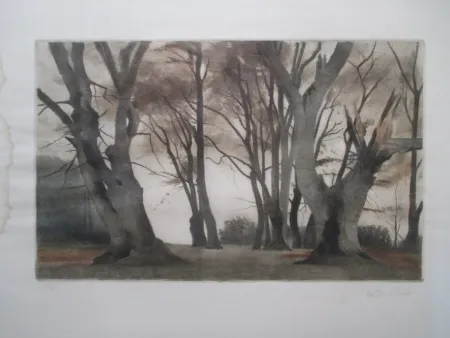 Mezzotint Ilsted - Trees in Ermelunden