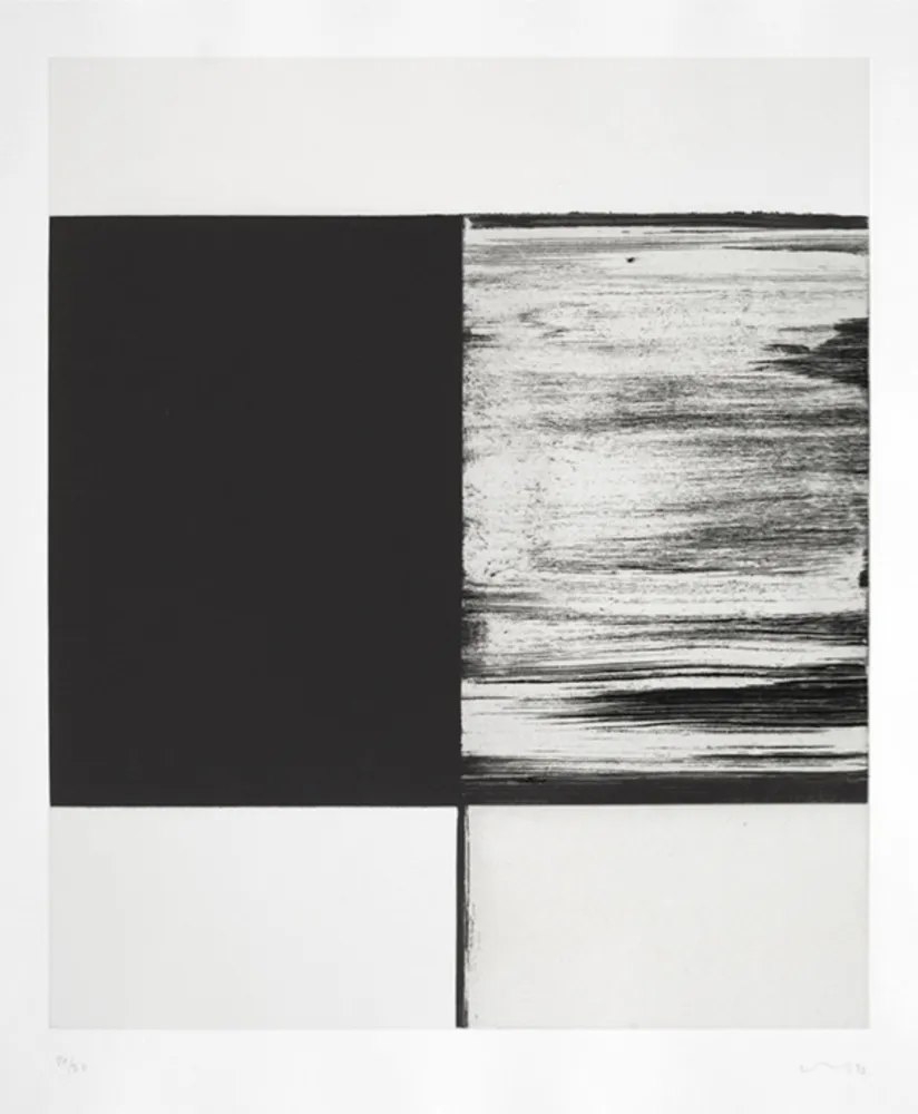 Многоэкземплярное Произведение Innes - LB