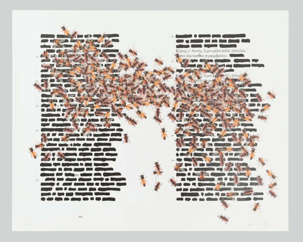 Гашение Isgro - L'Odissea cancellata