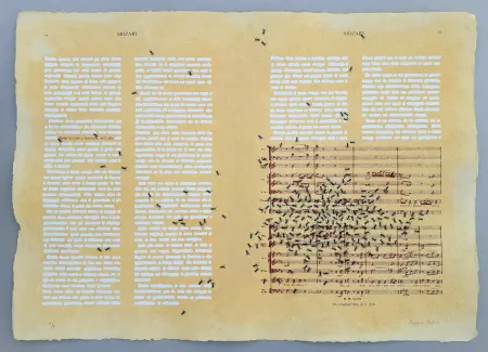 Сериграфия Isgro - Mozart