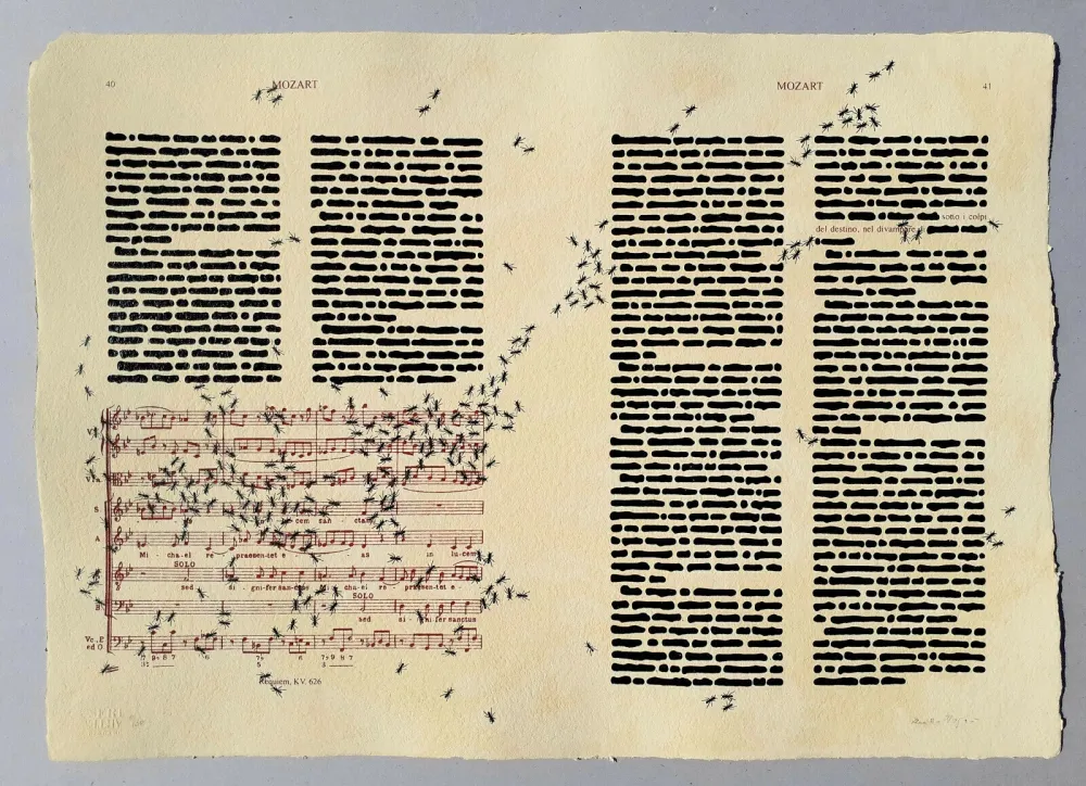 Сериграфия Isgro - Mozart