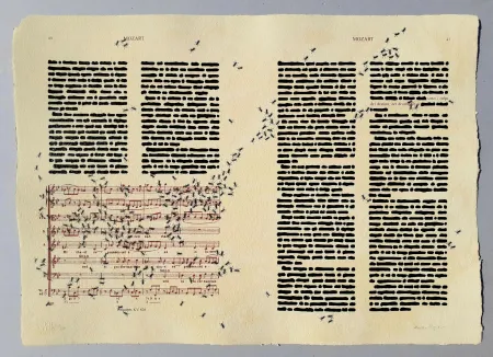 Сериграфия Isgro - Mozart