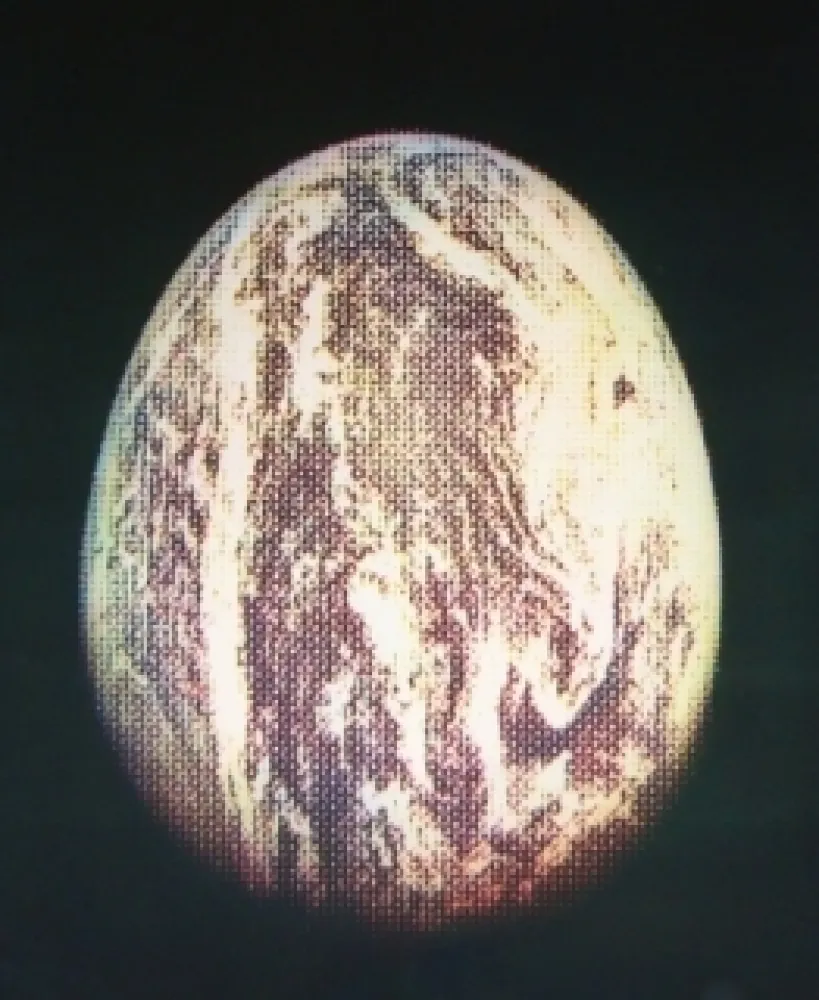 Офорт И Аквитанта Jacquet - L'oeuf