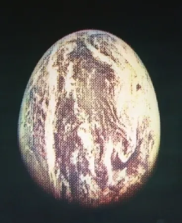 Офорт И Аквитанта Jacquet - L'oeuf