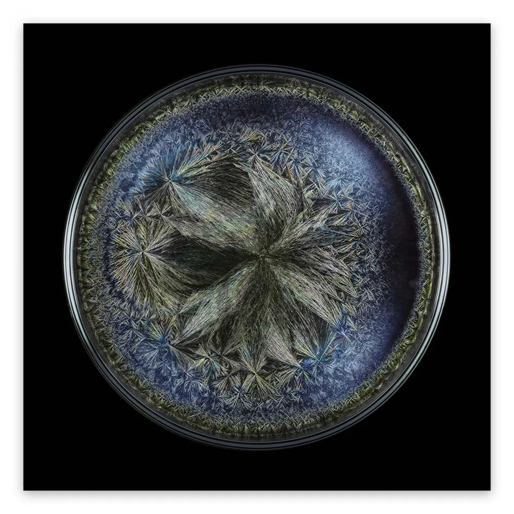 Фотографии Janiak - Morphogenetic field - Beluga Caviar