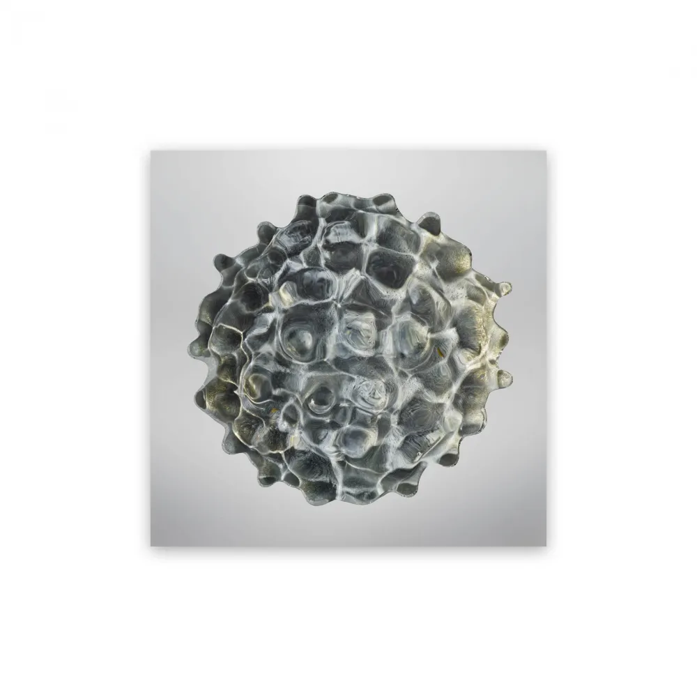 Фотографии Janiak - Résonance - water drop 84 (Medium)