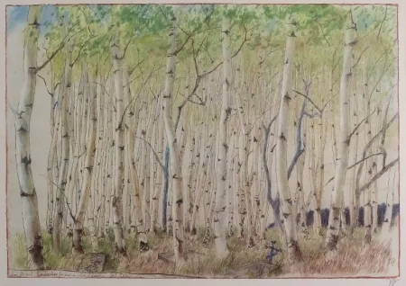 Гашение Janssen - Birkenwald. dem Axel Lebahn für seine Schilderung (p) (k)