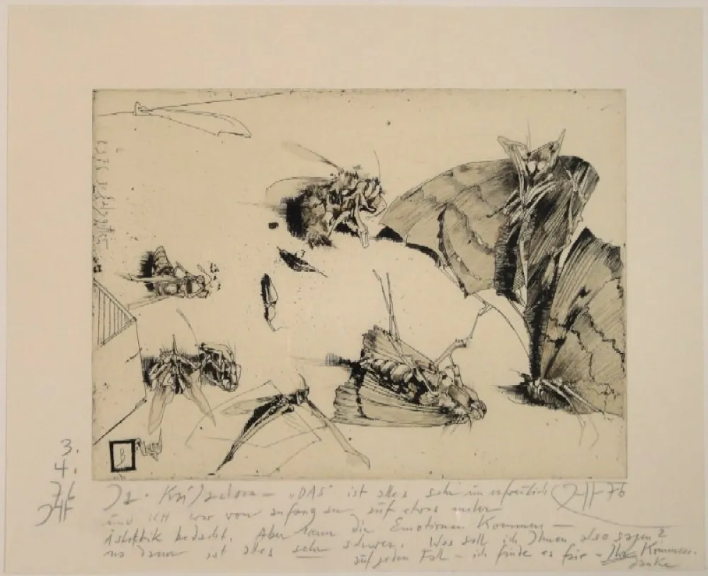 Гравюра Janssen - (Tote Nachtfalter und Insekten)