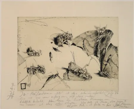 Гравюра Janssen - (Tote Nachtfalter und Insekten)