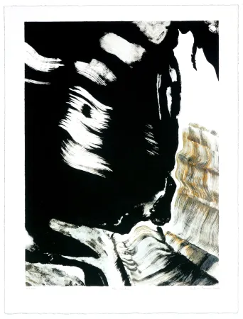 Литография Jarrosson - Noir Brutal