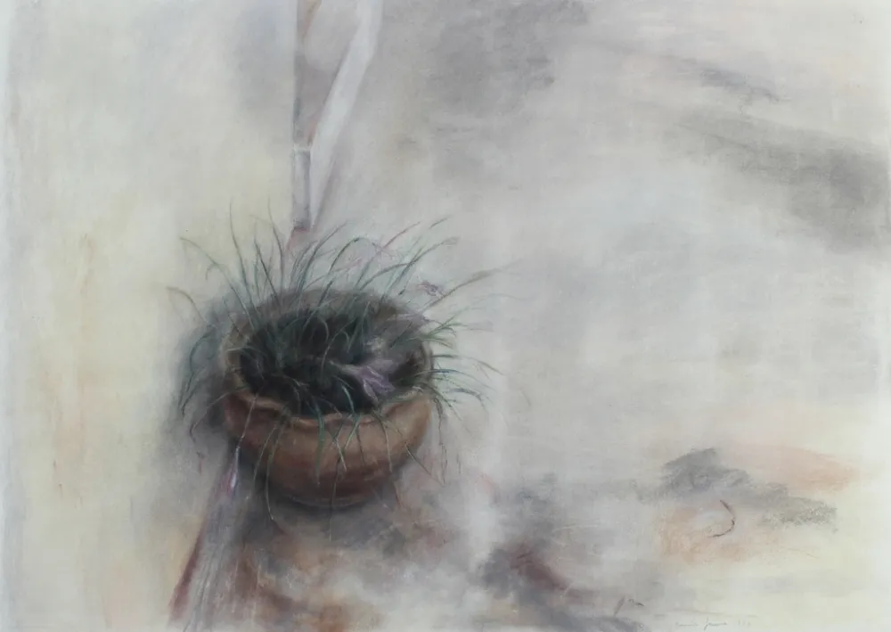 Нет Никаких Технических Jaume - On the Patio