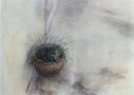 Нет Никаких Технических Jaume - On the Patio