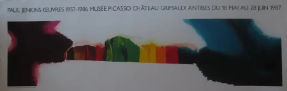 Литография Jenkins - Sans titre