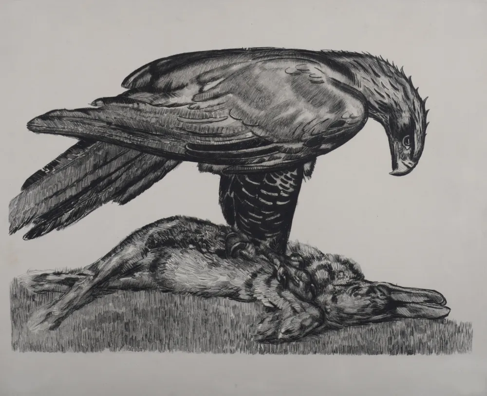 Офорт Jouve - Aigle enserrant un lièvre, c. 1930 - Deluxe suite!