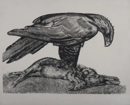 Офорт Jouve - Aigle enserrant un lièvre, c. 1930 - Deluxe suite!