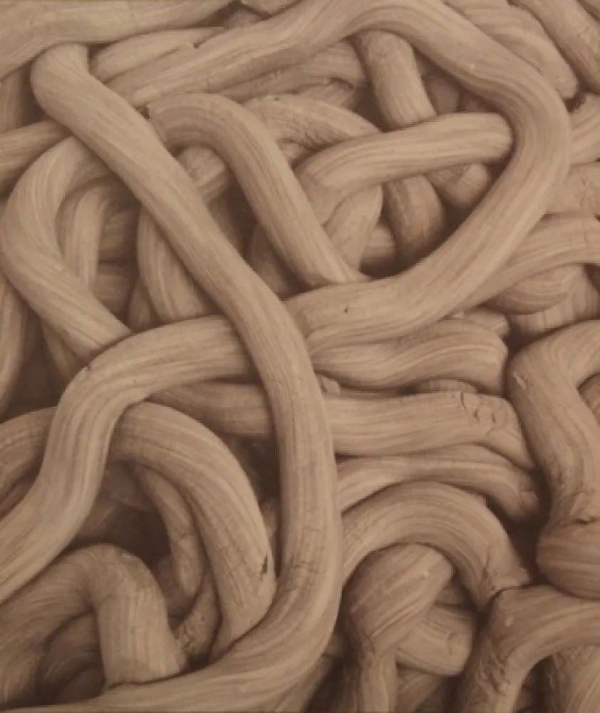 Литография Kapoor - A Detail of Greyman Cries, Shaman Dies, Billowing Smoke, Beauty Evoked, 2008-2009 