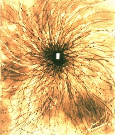 Акватинта Kapoor - Door