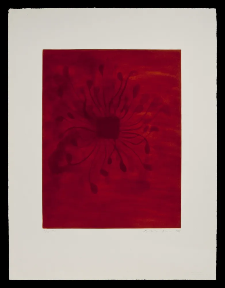 Акватинта Kapoor - S/T