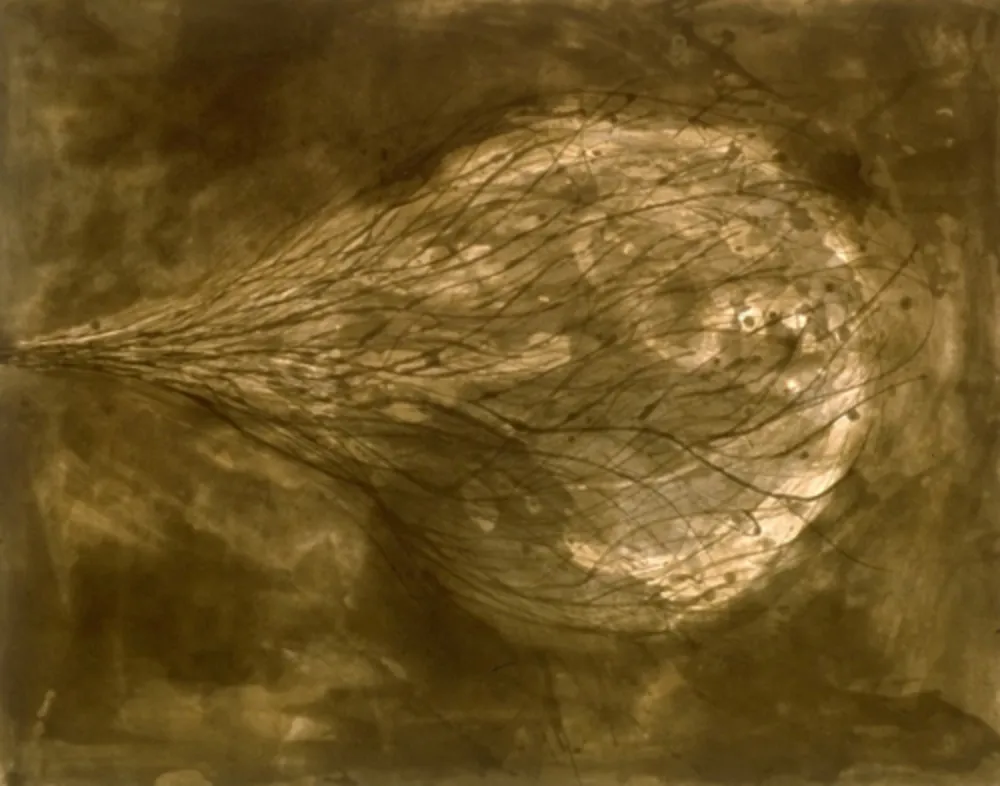 Акватинта Kapoor - Untitled (III)