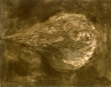 Акватинта Kapoor - Untitled (III)