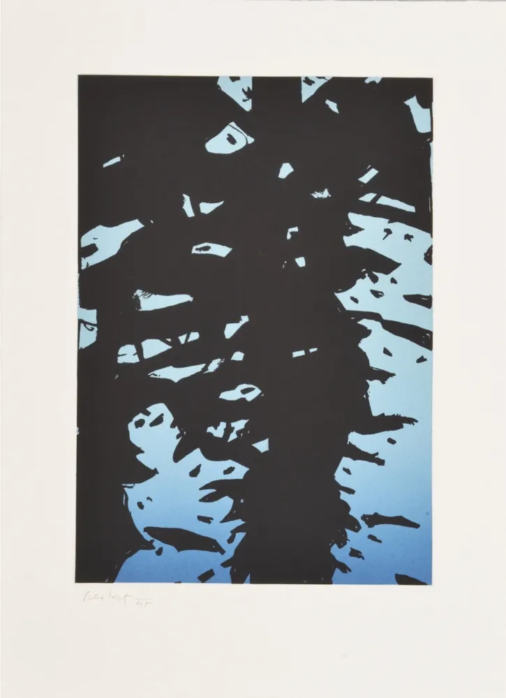 Офорт Katz - Reflection I