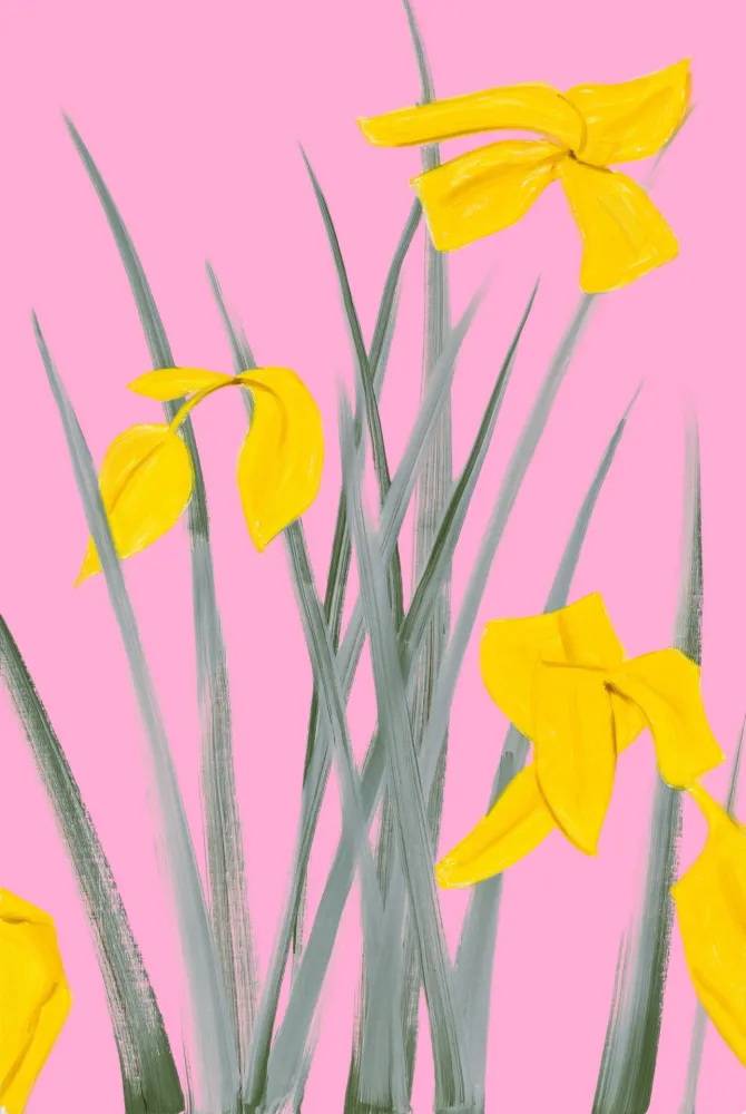 Нет Никаких Технических Katz - Yellow Flags 3