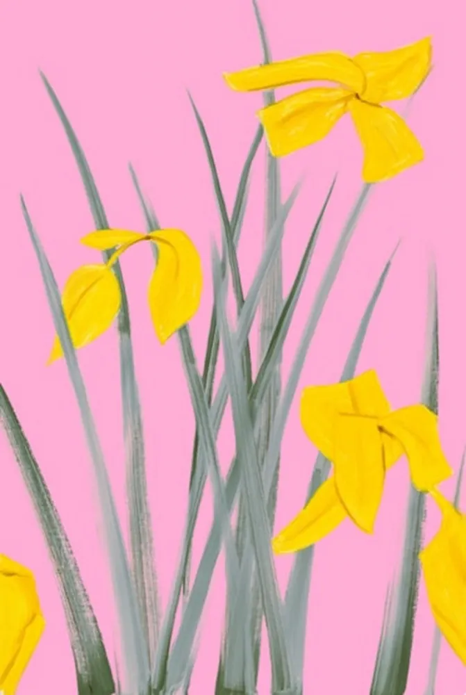 Нет Никаких Технических Katz - Yellow Flags 3