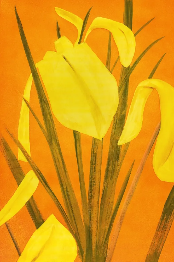 Офорт И Аквитанта Katz - 