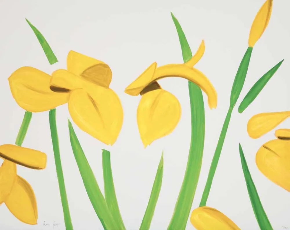 Нет Никаких Технических Katz - Yellow Flags on White