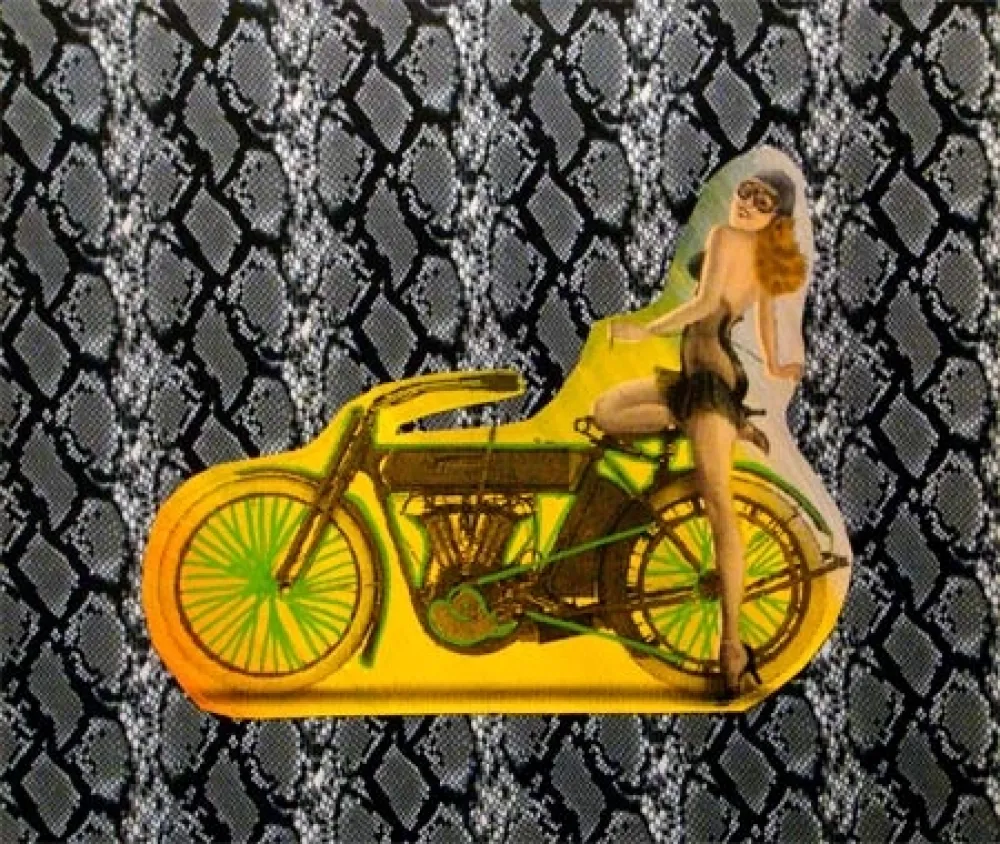 Сериграфия Kaufman - Motorbike on Snakeskin