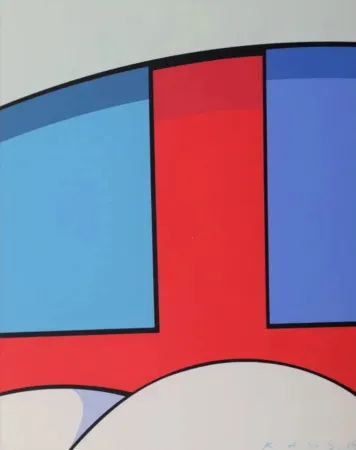 Многоэкземплярное Произведение Kaws - KAWS X MOCAD