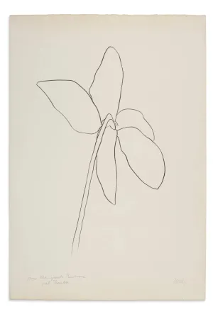 Литография Kelly - Cyclamen IV, 1964-1965