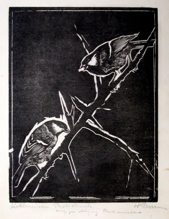 Гравюра На Дереве Klemm - Kohlmeisen (Great Tits)