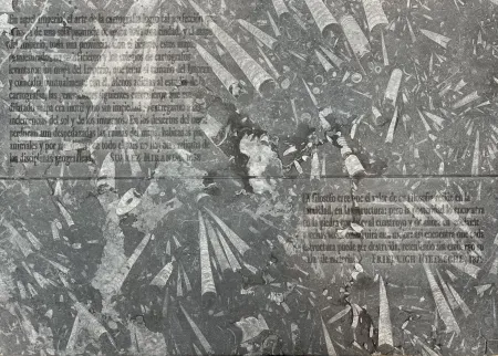 Офорт Kosuth - El mapa de Miranda y la disciplina de Nietzsche