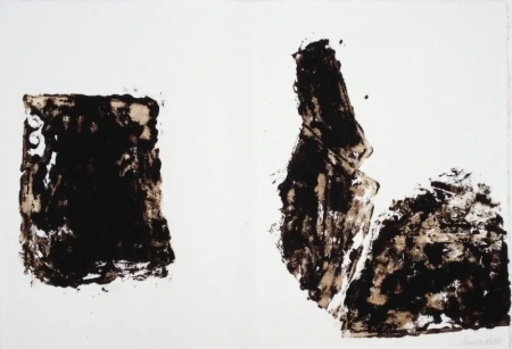 Многоэкземплярное Произведение Kounellis - La luna e il vestito