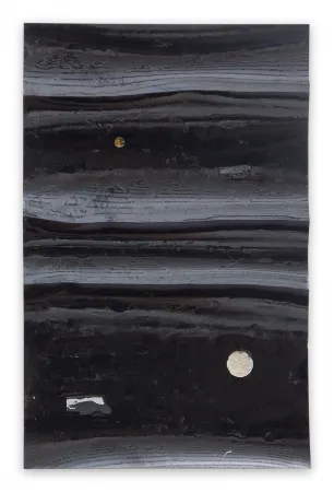 Нет Никаких Технических Kroner - Black River 26