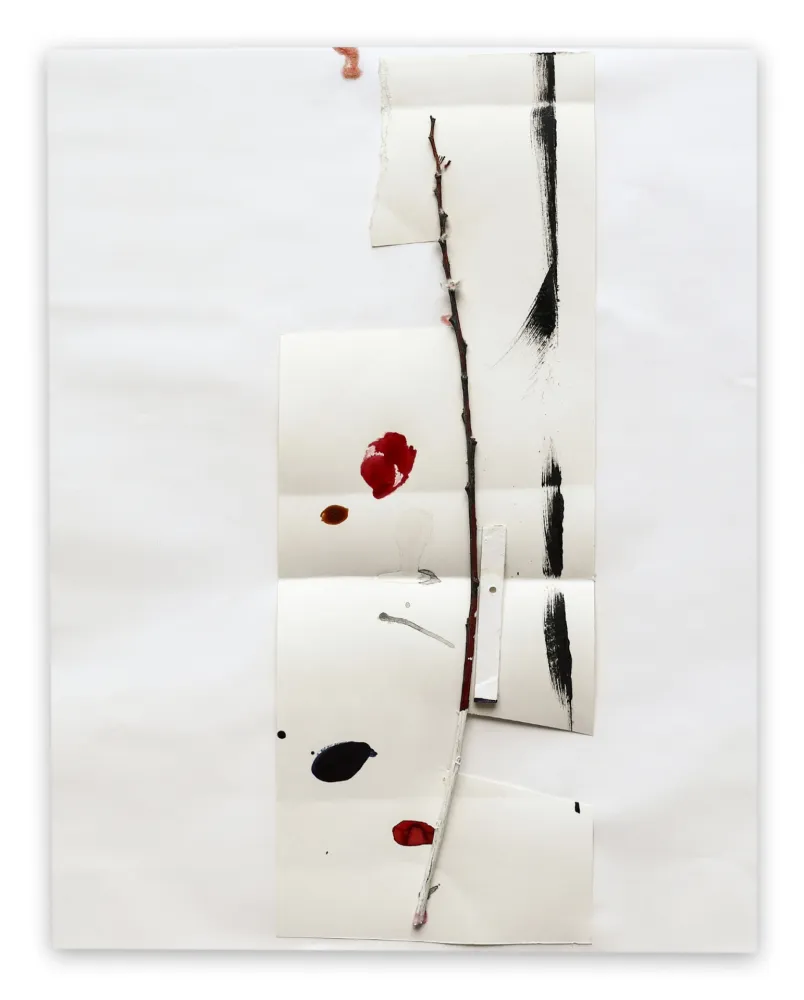 Нет Никаких Технических Kroner - K2003