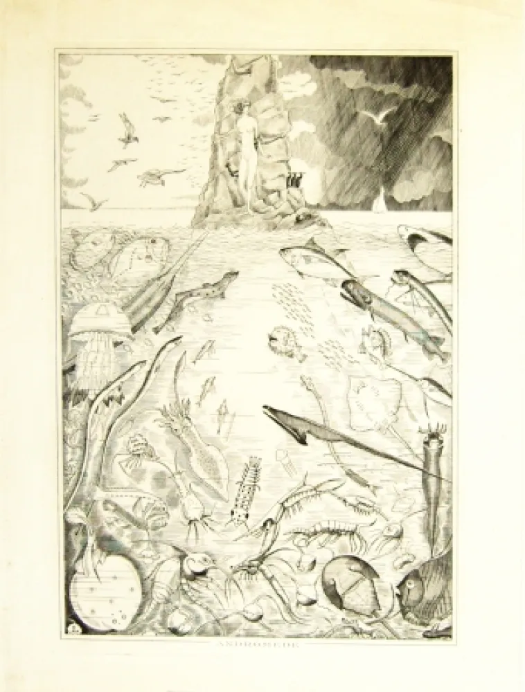 Гравюра Laboureur - Andomède