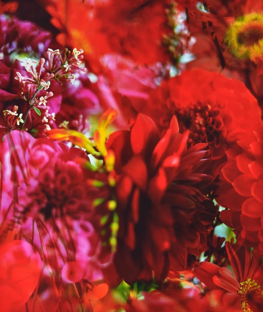 Фотографии Lafontaine - Paradise Lost I