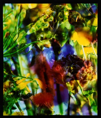 Фотографии Lafontaine - Paradise Lost II