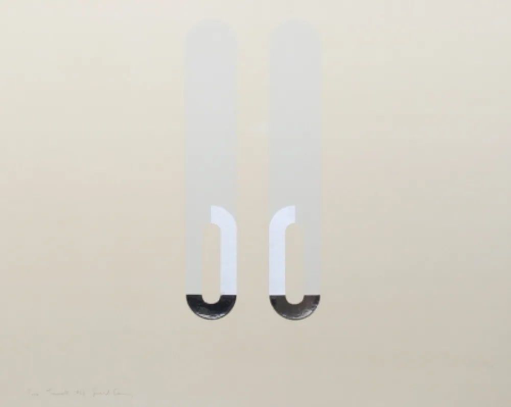 Сериграфия Laing - Two Tunnels