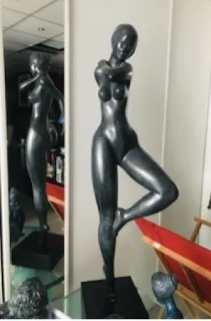 Нет Никаких Технических Laniau - Hirondelle