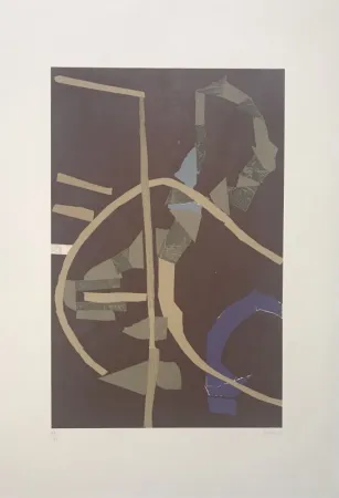 Литография Lanskoy - Journal d'un fou 