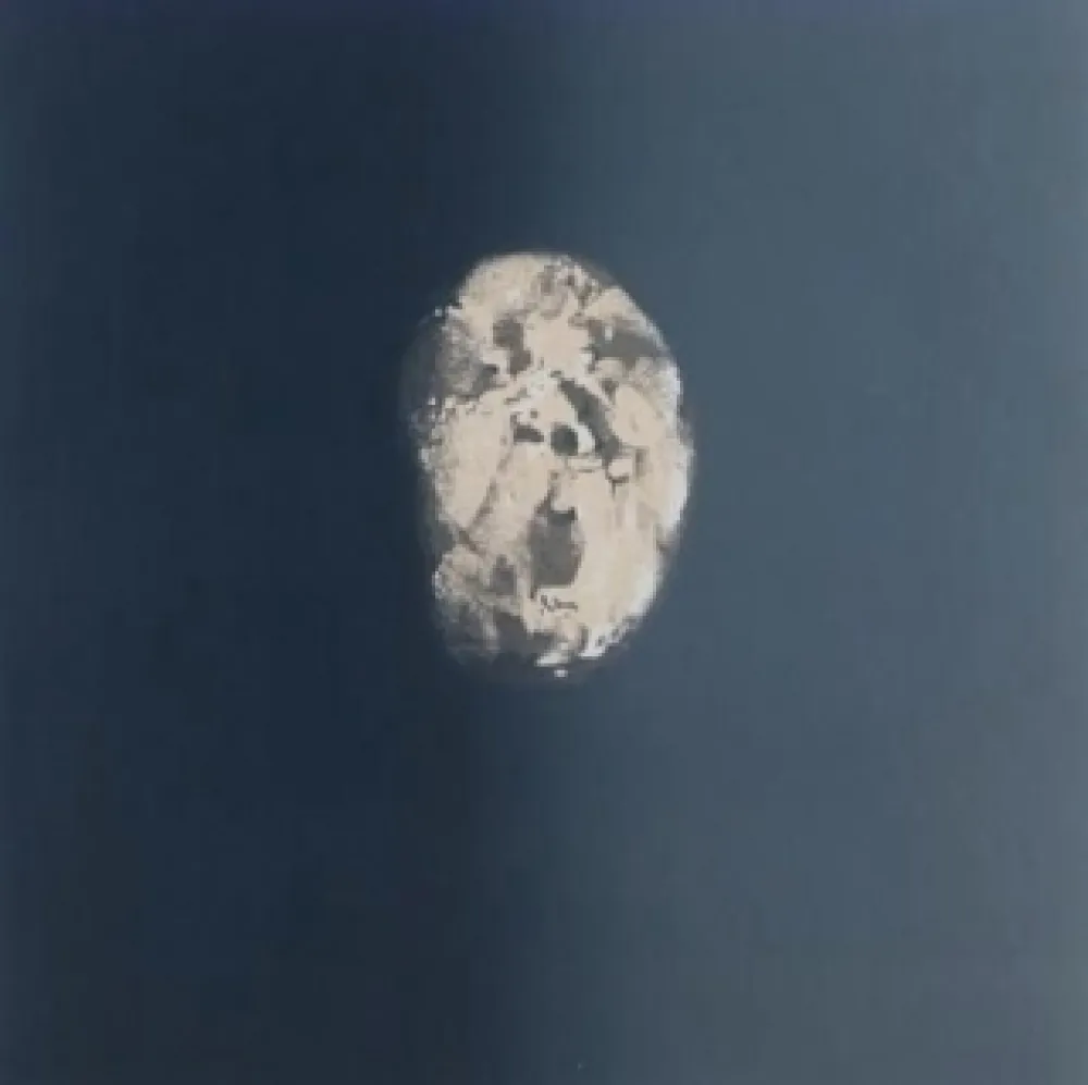 Офорт Le Brocquy - Image in drakness